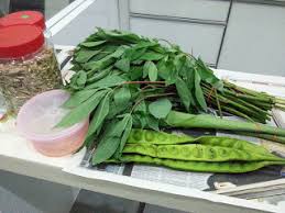Di negeri pahang, masakan yang di gemari menggunakan tempoyak seperti ikan patin masak tempoyak dan pais. Sambal Tempoyak Petai Dan Pucuk Ubi Menu Tengahari Diary Mama