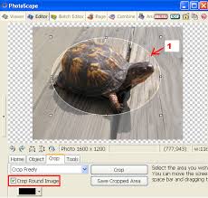 How To Change Photo Background In Photoscape