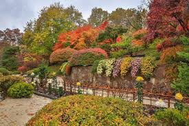Missouri Botanical Gardens Fall Colors Captured By Kent Burgess The Way Of The Garden Photograph Japanese Garden Missouri Botanical Garden Garden Photography