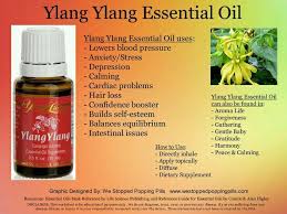 Ylangylang Young Living Ylang Ylang Essential Oil Essential Oils Essential Oils Aromatherapy