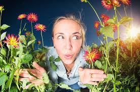 Dorothea Schmitz's Instagram, Twitter & Facebook