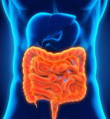 Colon (punctuation) (:), a punctuation mark. Reduntant Colon Prevention And Diet Tips Bel Marra Health