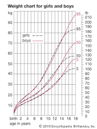 Anatomy Human Growth Weight Students Britannica Kids