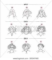 We spoke to lizzie carter, founder of only curls, for a more 'curly hair strands clump together and wind around in a spiral shape, forming ringlets,' says lizzie. Curls Hair Chart Vector Photo Free Trial Bigstock