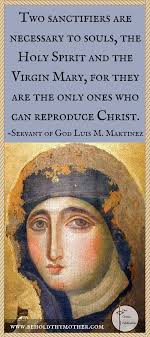 Behold Thy Mother A Scriptural Rosary Book Is Steeped In Beauty And Tradition With Sacred Art Medi Scriptural Rosary Catholic Prayer Book Catholic Prayers