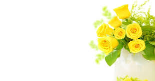 Paling Bagus 24 Download Gambar Bunga Asli Wallpaper Bunga Bunga Kuning Terang Menanam Mawar Gambar Taman Bunga Bunga Tul Bunga Kuning Bunga Wallpaper Bunga