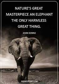 Pin On Best Motivational Quotes And Sayings