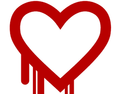 Are you a video lover searching for the next amazing story? The Heartbleed Hit List Carmelo Walsh