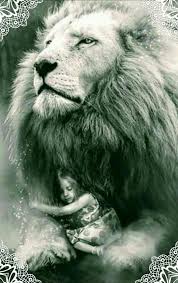 A Prayer For The Start Of A Great Year 2020 Lion Images Lion Of Judah Jesus Lion Pictures