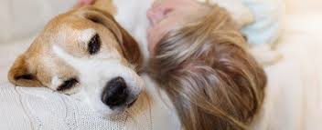 It detects various levels of hearing function and loss and can be performed in all dogs and puppies older than 6 weeks. How To Care For Blind And Deaf Senior Dogs