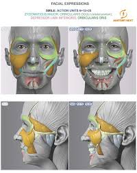 Nicole Kenyon (kenyonn)