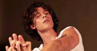 Shawn Mendes' Top 10 biggest songs