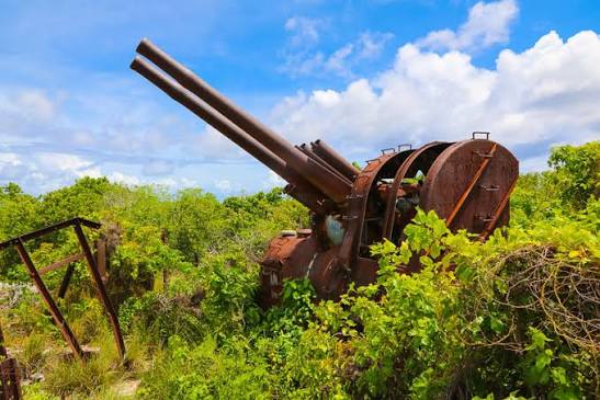 Japanese WWII Guns
