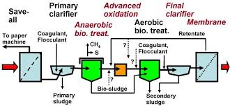 Several processes have been developed for. Wastewater Treatment And Reclamation A Review Of Pulp And Paper Industry Practices And Opportunities Bioresources