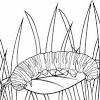 1024x819 wonderful caterpillar coloring page colouring for sweet red apple 1575x1575 free caterpillar coloring pages to print coloring pages for kids 1