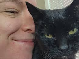 Fundraiser for Jocelyn Limmer by Dorian Maverick : Help Gracie Heal:  Support Jocelyn's Kitty