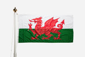 The welsh dragon is a heraldic symbol of wales, and arguably one of the country's most recognizable symbols. Buy Wales Flag Made In Uk Flagmakers