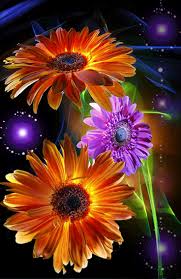 Resultado de imagen para flores gif pinteste