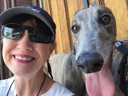 Tomorrow we will take the drive that every Greyhound lover dreads.. our  sweet gentle Olive will head to the Rainbow Bridge. She was our first which  makes it that much more difficult.