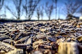 Whether your lawn is at the front or the back of your home, a worn, dry, yellowing and patchy piece of grass isn't what you want either for yourself or for anyone who visits your home. Mulching Mansfield Mowing Mulch