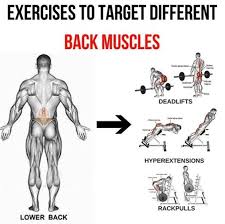 Hold for 15 seconds, keeping the pelvis and lower back muscles taut. Lower Back Exercises To Target Different Back Muscles 2 Yeah We Train Lower Back Exercises Gym Back Workout Back Exercises