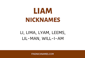 Some of the names are longer and you can create a nickname from it to keep it short. 30 Creative Nicknames For Liam Find Nicknames