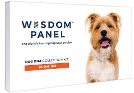 An advice columnist, andie anderson (kate hudson), tries pushing the boundaries of what she can write about in her new piece about how to get a man to leave you in 10 days. The Best Dog Dna Testing Kits For 2021 Pcmag
