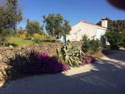 Haus in portugal günstig kaufen. Finca Quinta Im Alentejo Portalegre Portugal Ppt0268