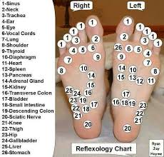 Reflexology Chart Feet Wheres The One To Make You Go Into