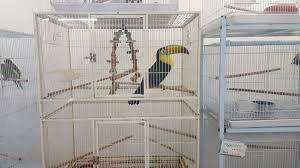 Maybe you would like to learn more about one of these? S S Exotic Animals 1711 Connorvale Rd Houston Tx Pet Services Mapquest