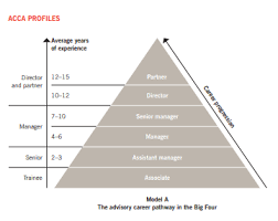 your career pathway in public practice accounting public