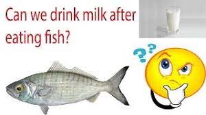Is It Safe Or Not To Drink Milk After Eating Fish See What Happens Youtube