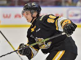 Ty voit, lw, sarnia (ohl). 30fe Yt5pownkm