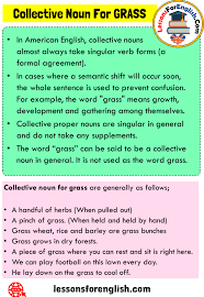 You really do not want to know the ingredients in aunt nancy's stew. Collective Noun For Grass Definition And 7 Examples Lessons For English