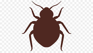 Pests are controlled by using chemical (fungicides, nematocides, and rodenticides) and biological methods (lady beetles, fly, wasp). Insect Pest Parasite Tick Beetle Png Download 512 512 Free Transparent Insect Png Download Cleanpng Kisspng