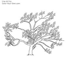 Flowers of cherry trees, drawing japan japan: Inkspired Musings Cherry Blossoms For Spring Tree Coloring Page Hand Embroidery Flowers Embroidery Flowers Pattern