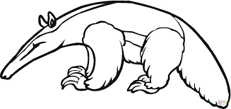 This is so effective, an anteater can eat 30,000 ants a day! Anteater 4 Coloring Page Free Printable Coloring Pages Coloring Pages Animal Coloring Pages Anteater