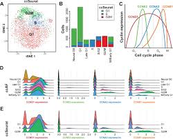 Check spelling or type a new query. Neural G0 A Quiescent Like State Found In Neuroepithelial Derived Cells And Glioma Biorxiv