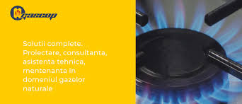 Cine E și Ce Avere Are Cel Care Conduce Energia Romanească Euro Oltenia Info