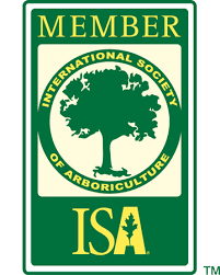 An arborist's services may also be used to improve the appearance, health, or value of trees. Home Pacific Northwest Arborist