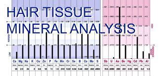 2 in general, the detection time is longest. Hair Tissue Mineral Analysis Htma True Health Canada