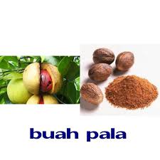 Buah pala disinyalir bisa jadi cara melegakan tenggorokan dan hidung saat flu. Khasiat Scrub Habbatus Sauda Garam Bukit Kulit Berseri Facebook