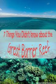 7 Things You Didn T Know About The Great Barrier Reef The Boardventures East Coast Travel Great Barrier Reef Oceania Travel
