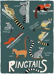 Daughter Earth Animal Illustration Animal Posters Endangered Animals