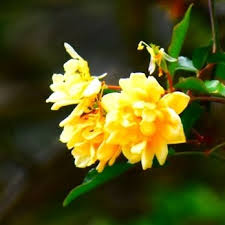 Maybe you would like to learn more about one of these? Bluffton Sc You Have To Love It Home Facebook