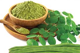 Image result for Moringa oleifera