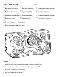 The vacuole of the animal cell is very numerous and tiny, unlike. Animal Plant Cell Coloring Key