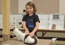 The international cat association (tica) is considered the world's largest genetic cat registry. Junior Exhibitors