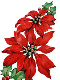 Pointsettia Flowers Winter Christmas Card Art Christmas Images Christmas Cards To Make