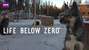 Season 5 is not available on american netflix, but you can unlock it right season 1 of life below zero has 16 episodes. Is Life Below Zero Season 5 2013 On Netflix Australia